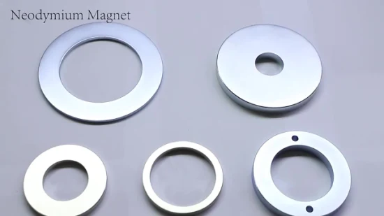 Segment Magnet Neodymium Magnet Ferrite Magnet Customized Magnet for Car Audio