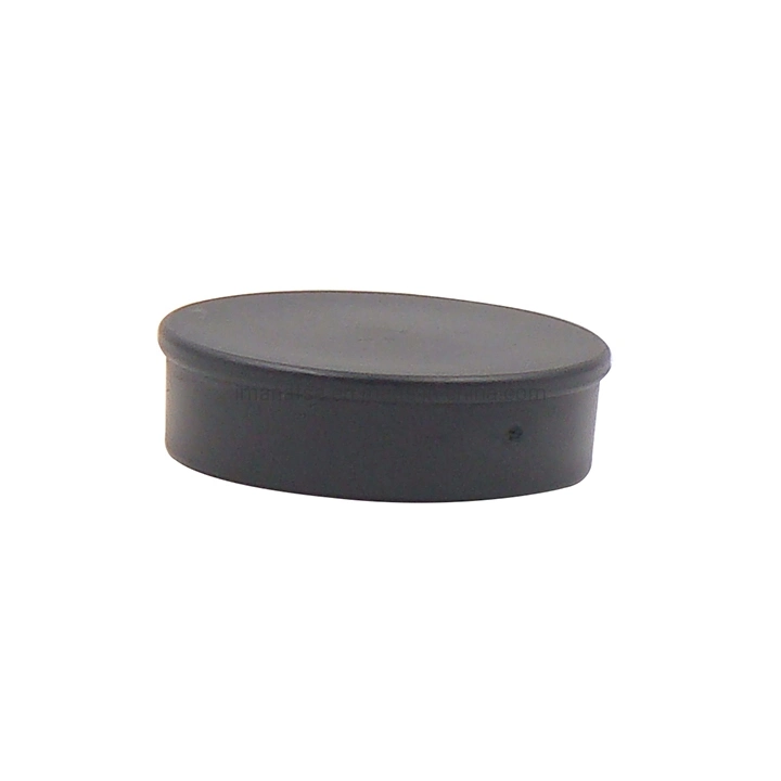 ISO9001/RoHS Qualified Rare Earth Permanent Ferrite/Neodymium Office Push Pin Magnets